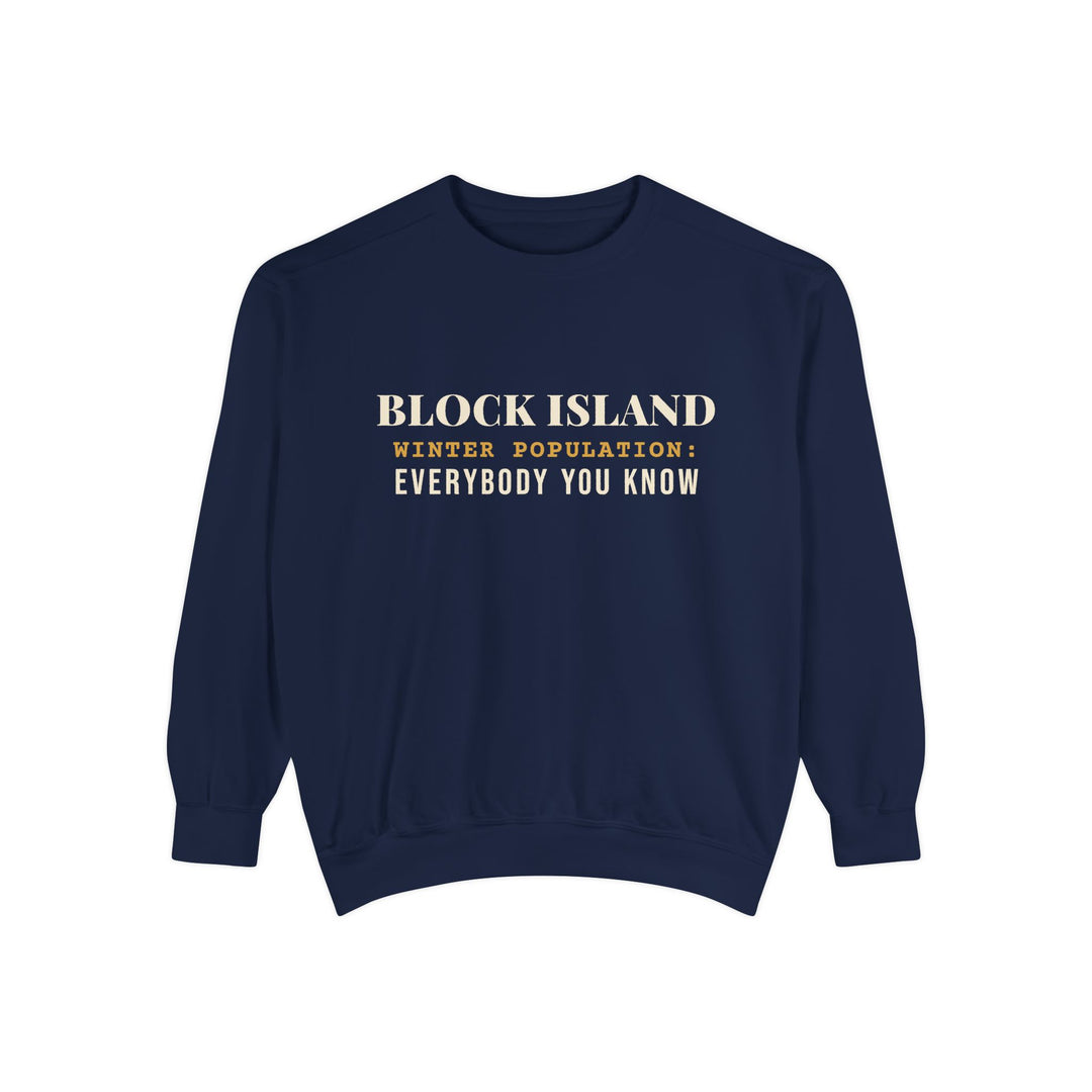 Block Island Winter Population crewneck sweatshirt in True Navy - BlockBoundRI