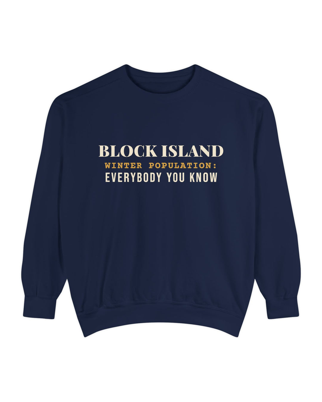 Block Island Winter Population crewneck sweatshirt in True Navy - BlockBoundRI