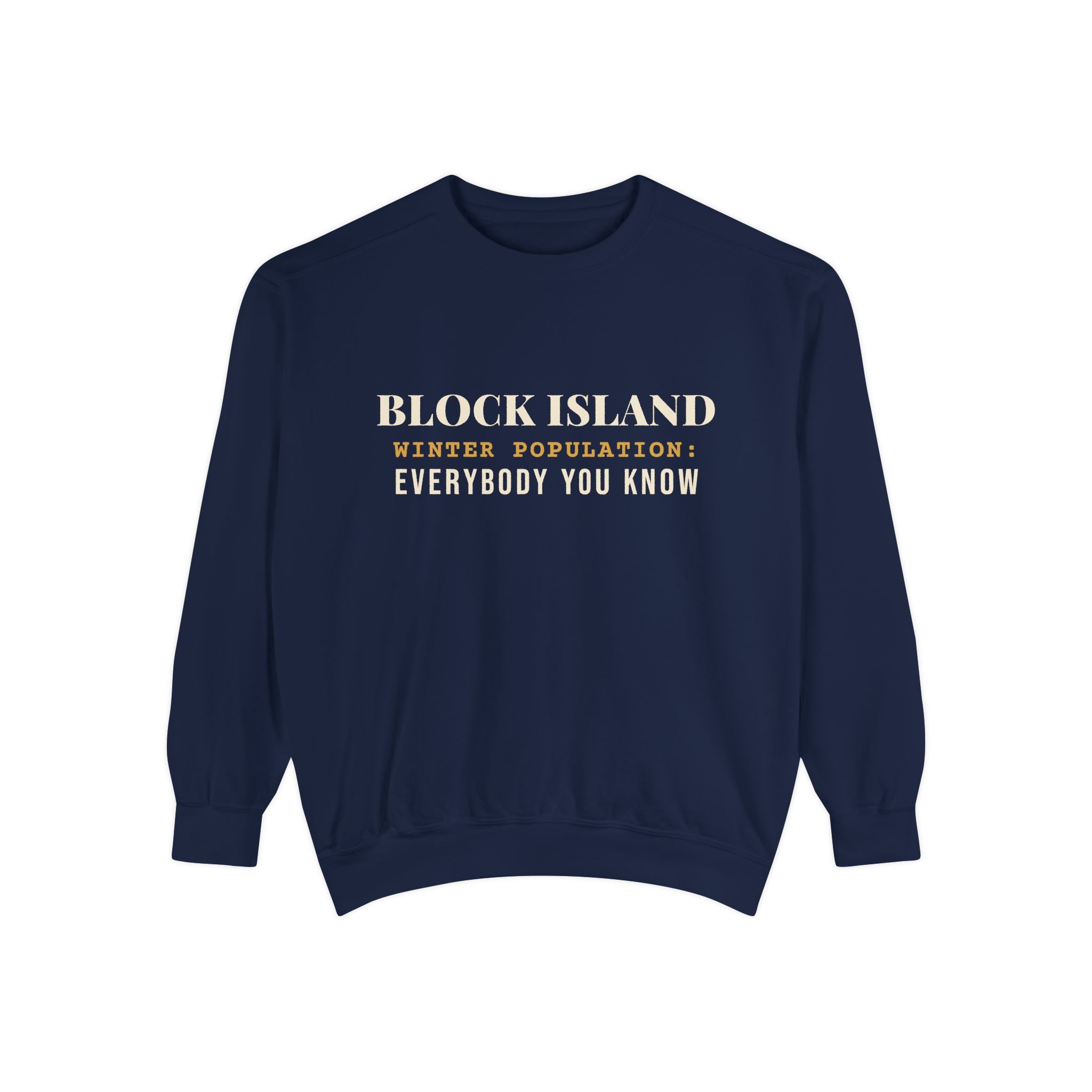 Block Island Winter Population crewneck sweatshirt in True Navy - BlockBoundRI