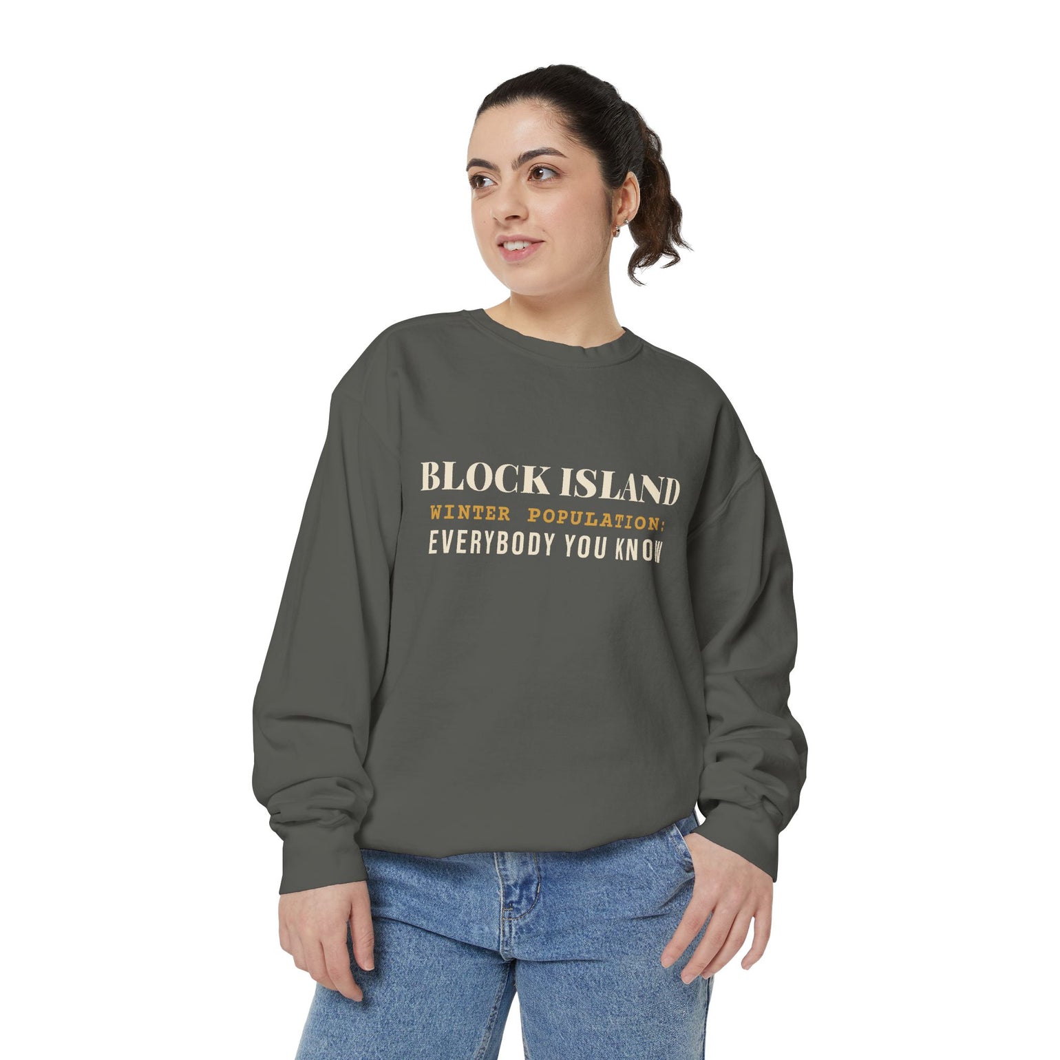 Block Island Winter Population crewneck sweatshirt, view 4 - BlockBoundRI