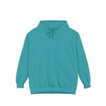 Know Your Ferries Block Island ferry fleet chart hoodie in Seafoam - BlockBoundRI