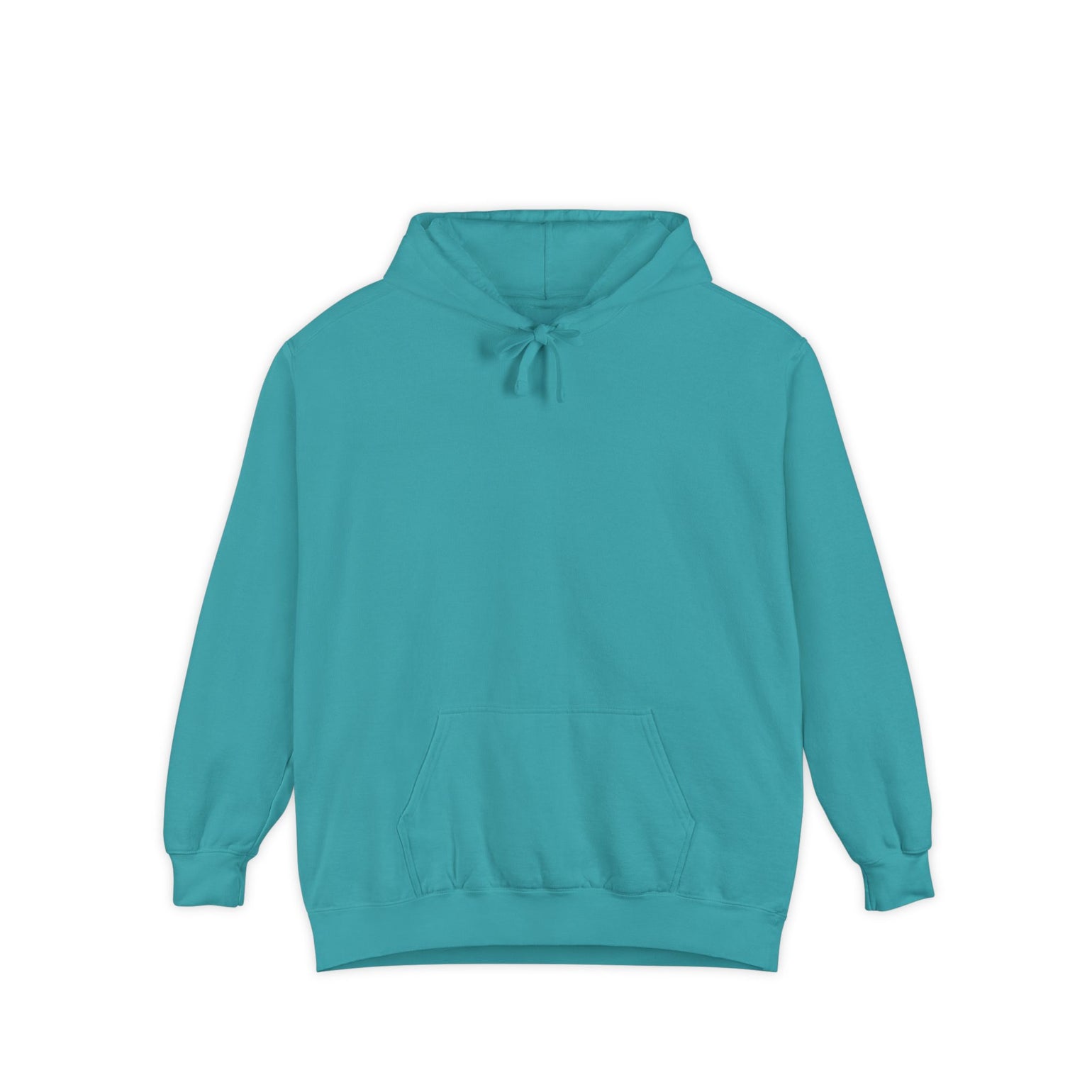 Know Your Ferries Block Island ferry fleet chart hoodie in Seafoam - BlockBoundRI
