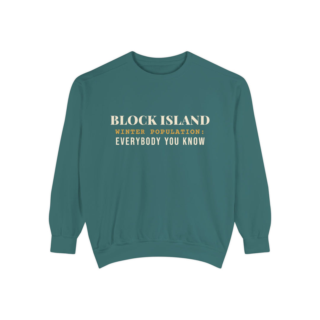 Block Island Winter Population crewneck sweatshirt in Blue Spruce - BlockBoundRI