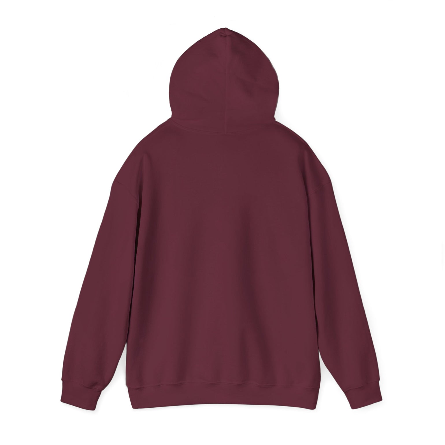 Mopeds Are Not a Personality Block Island hoodie, view 8 - BlockBoundRI