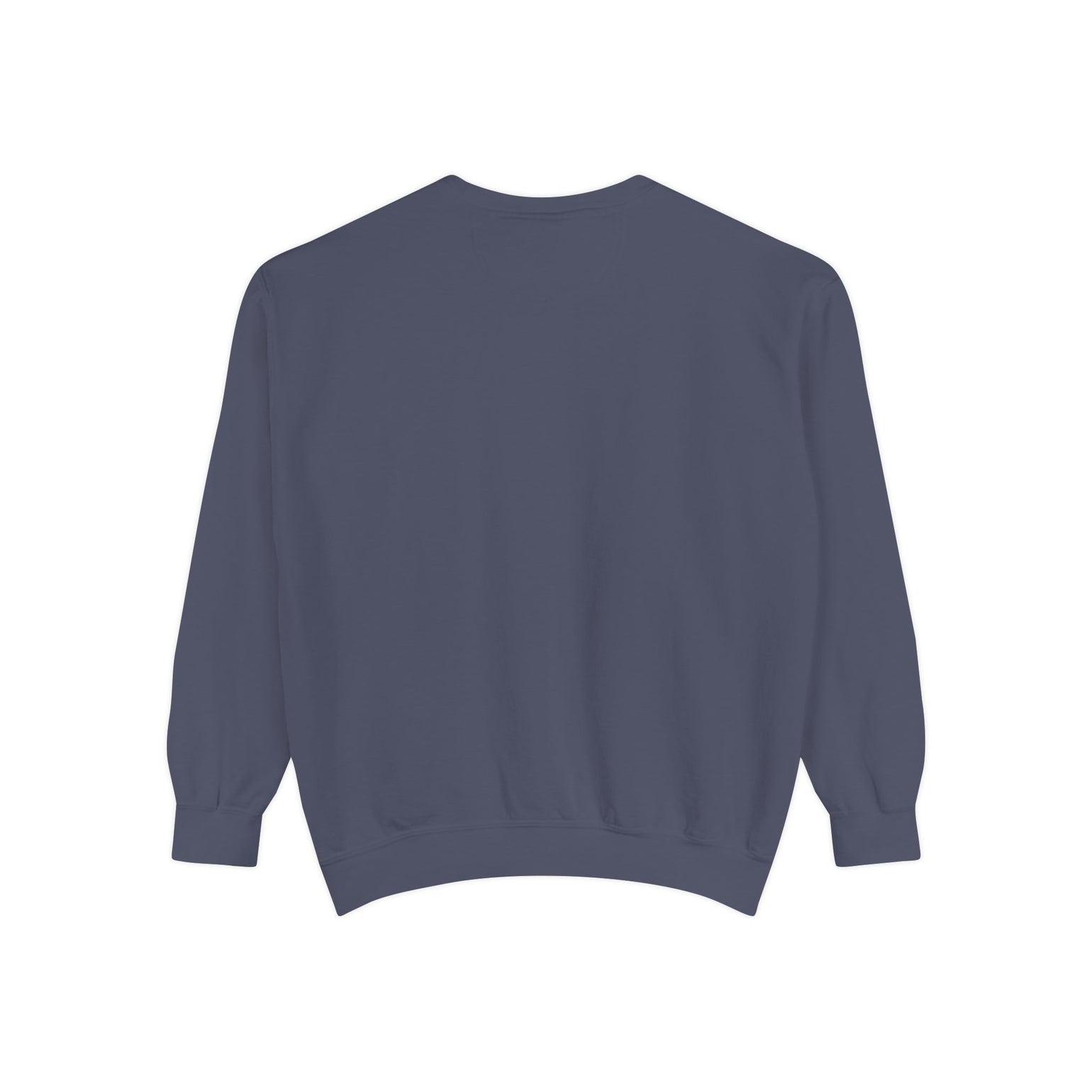 Block Island Winter Population crewneck sweatshirt, view 15 - BlockBoundRI