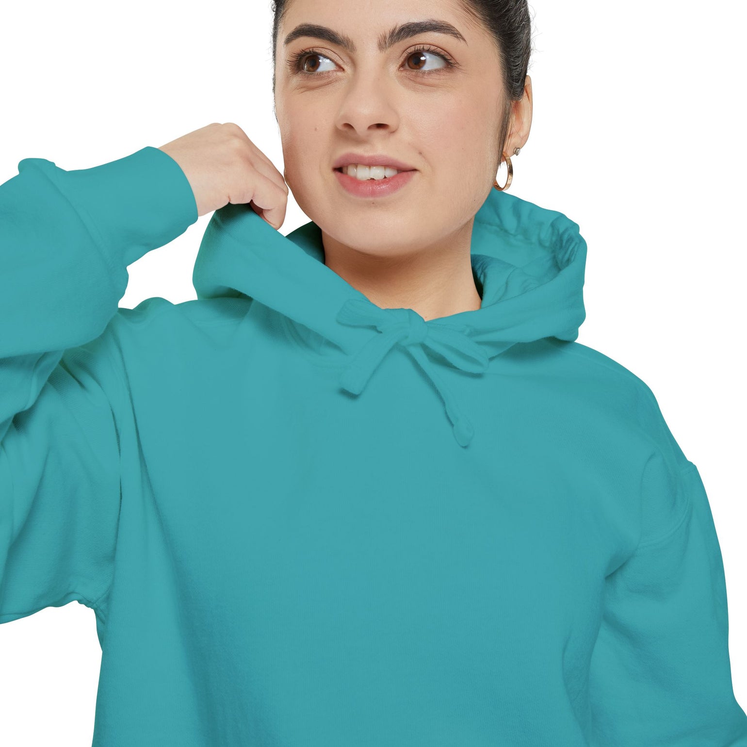 Know Your Ferries Block Island ferry fleet chart hoodie, additional view - BlockBoundRI