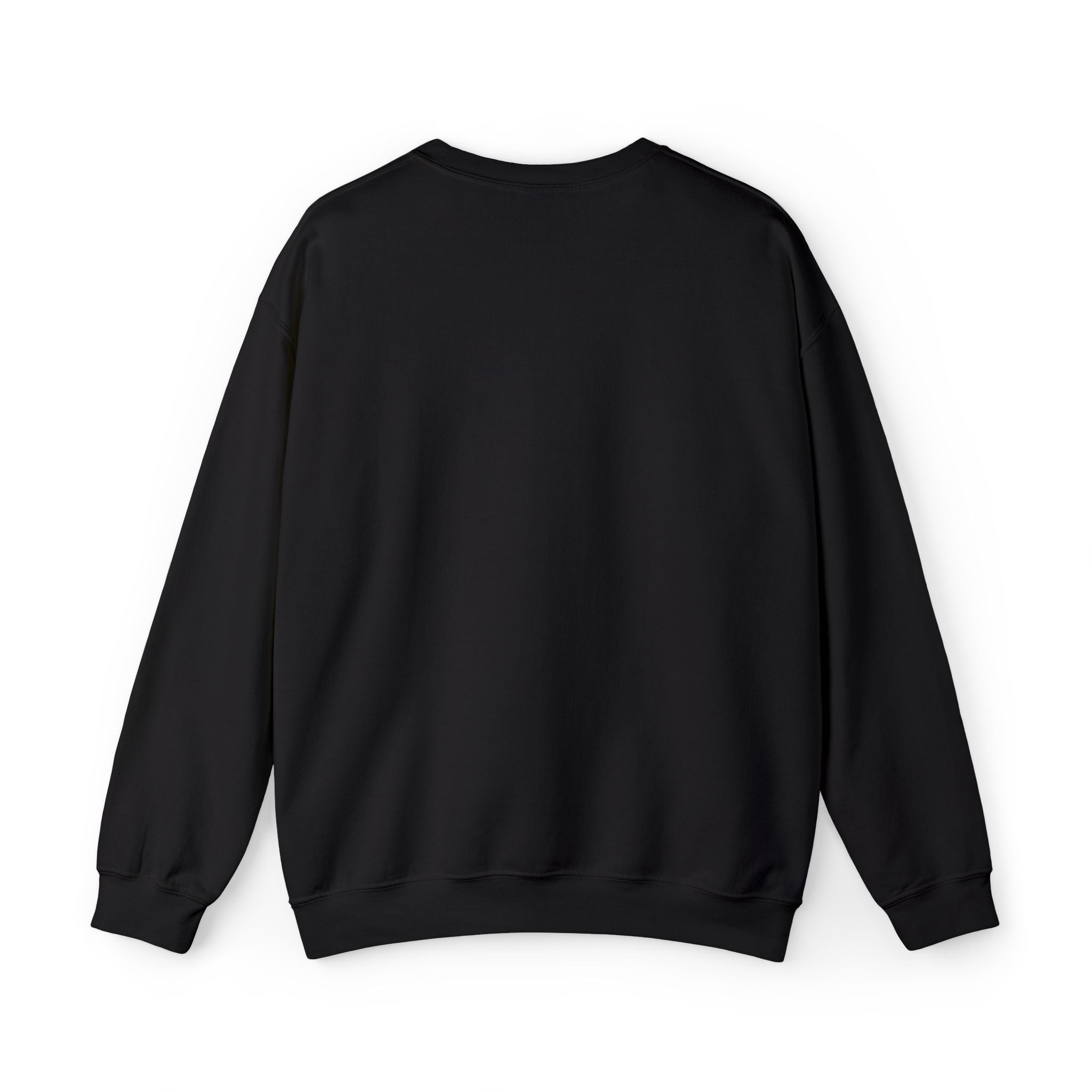 Block Island Crewneck Sweatshirt — Embroidered Pullover