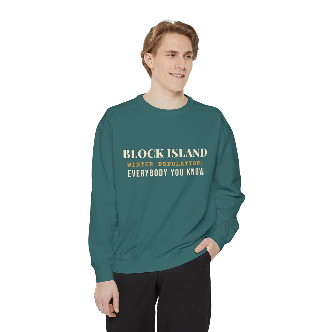 Block Island Winter Population crewneck sweatshirt, view 9 - BlockBoundRI