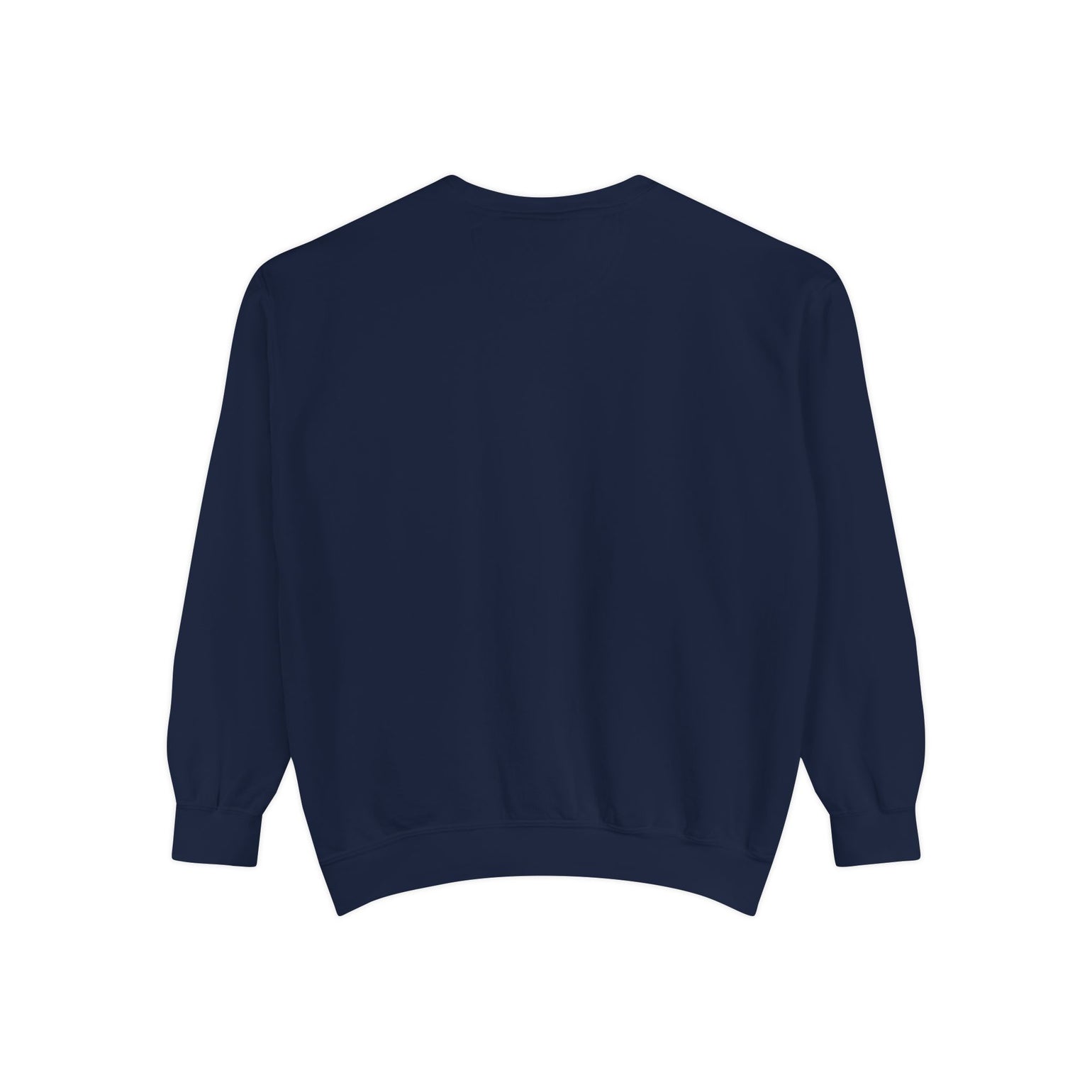 Block Island Winter Population crewneck sweatshirt, view 22 - BlockBoundRI