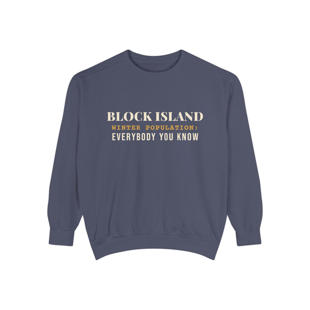 Block Island Winter Population crewneck sweatshirt in Denim - BlockBoundRI