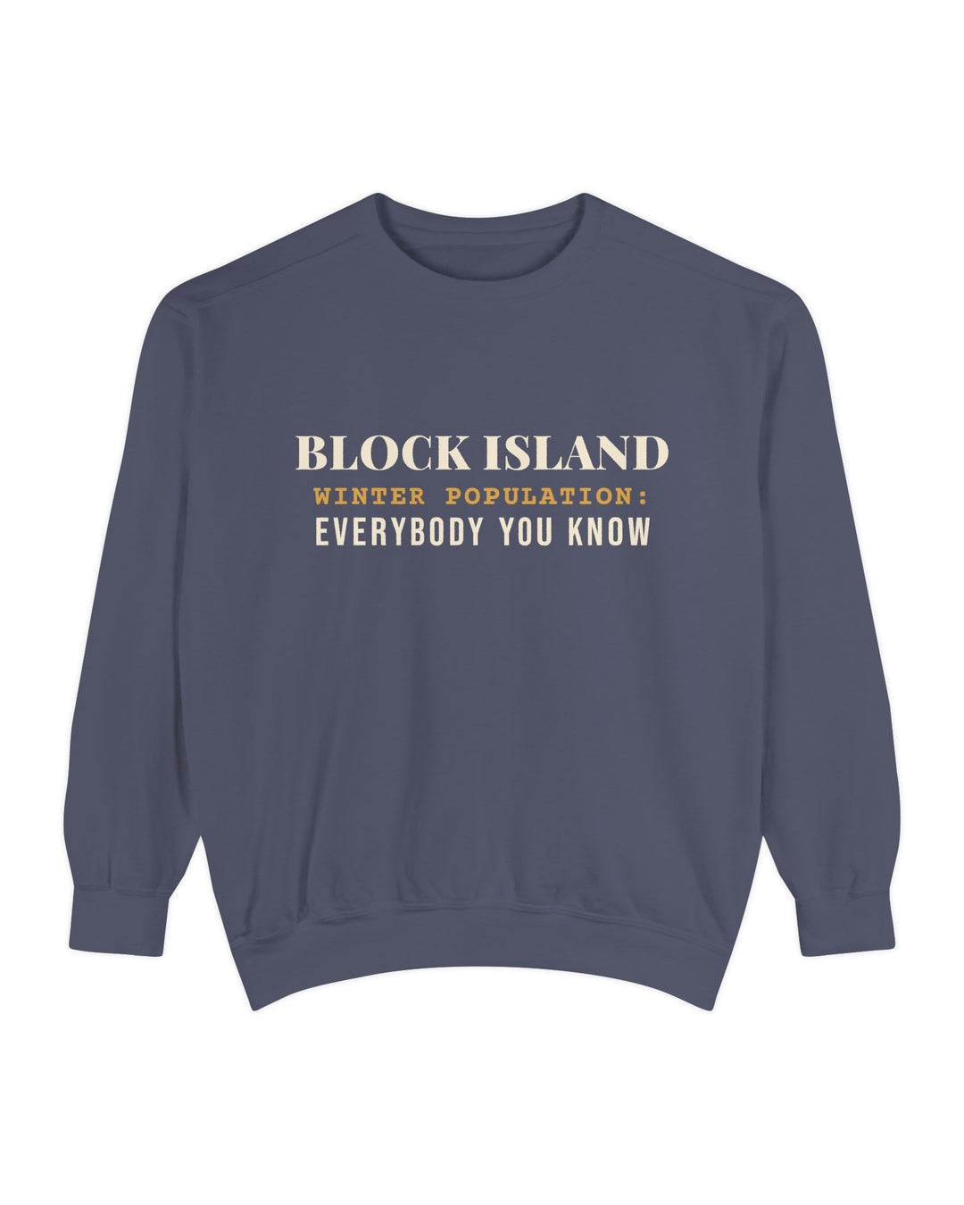 Block Island Winter Population crewneck sweatshirt in Denim - BlockBoundRI