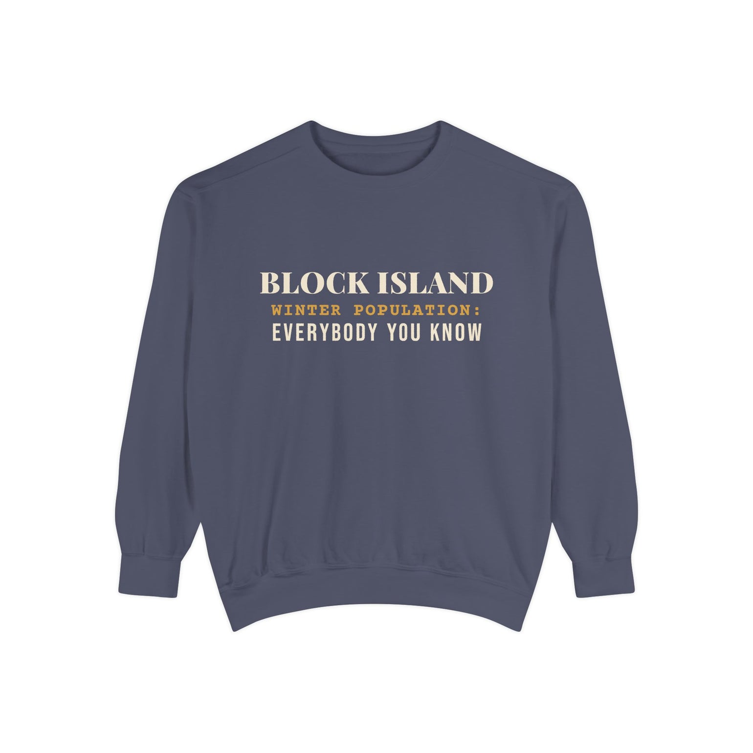Block Island Winter Population crewneck sweatshirt in Denim - BlockBoundRI