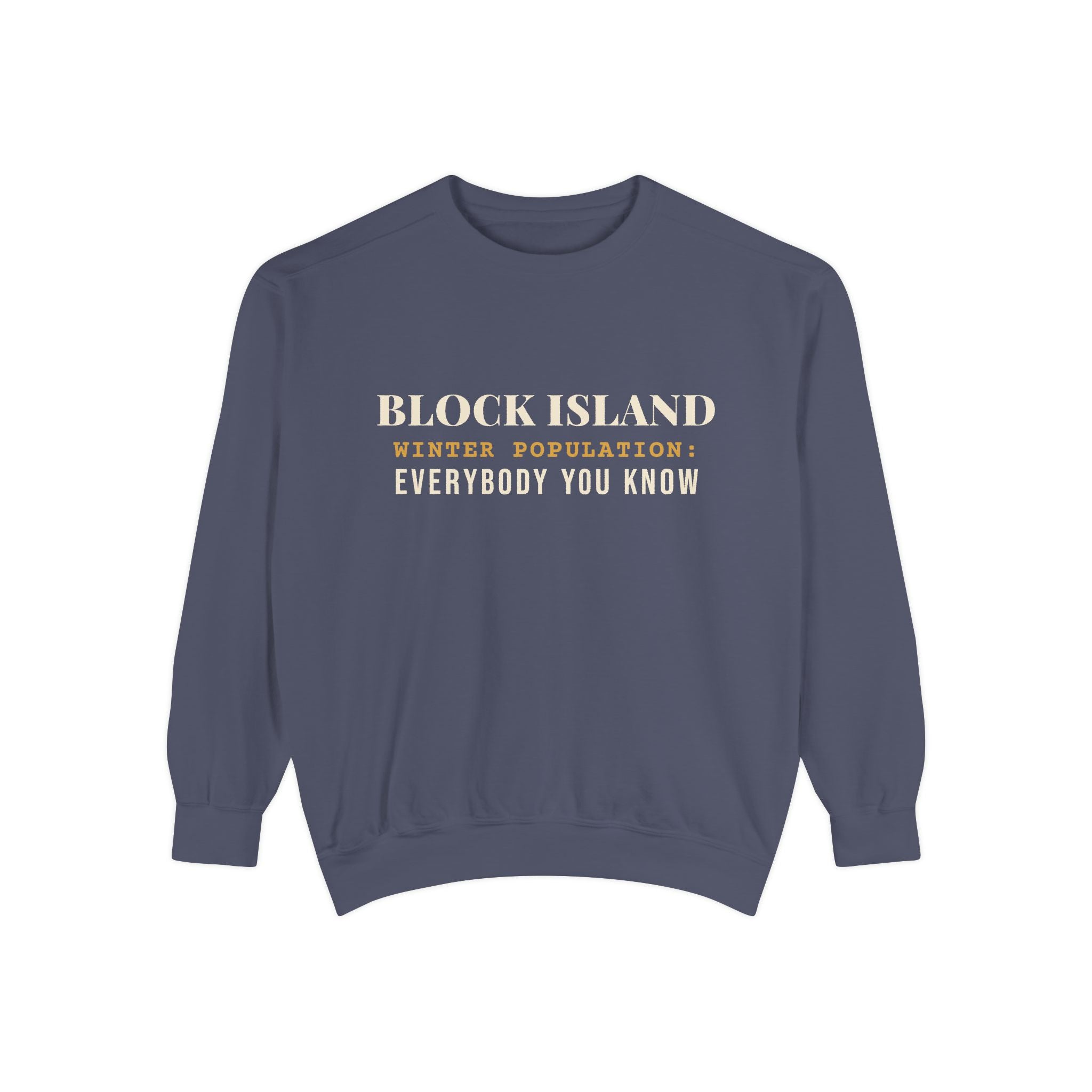 Block Island Winter Population crewneck sweatshirt in Denim - BlockBoundRI
