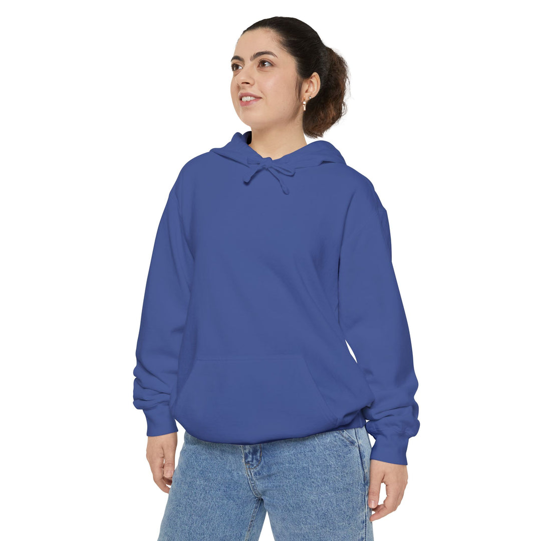 Know Your Ferries Block Island ferry fleet chart hoodie, additional view - BlockBoundRI