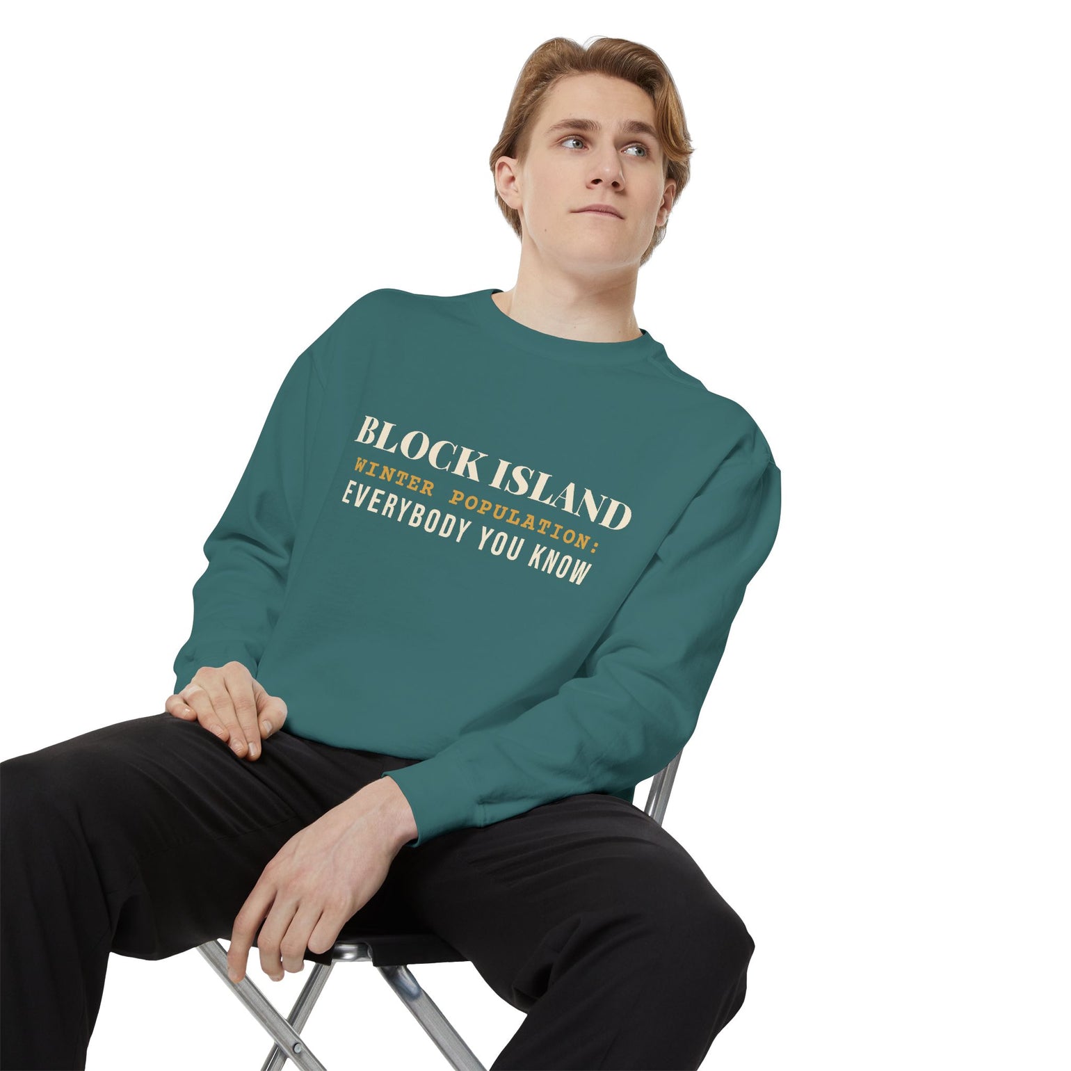 Block Island Winter Population crewneck sweatshirt, view 13 - BlockBoundRI