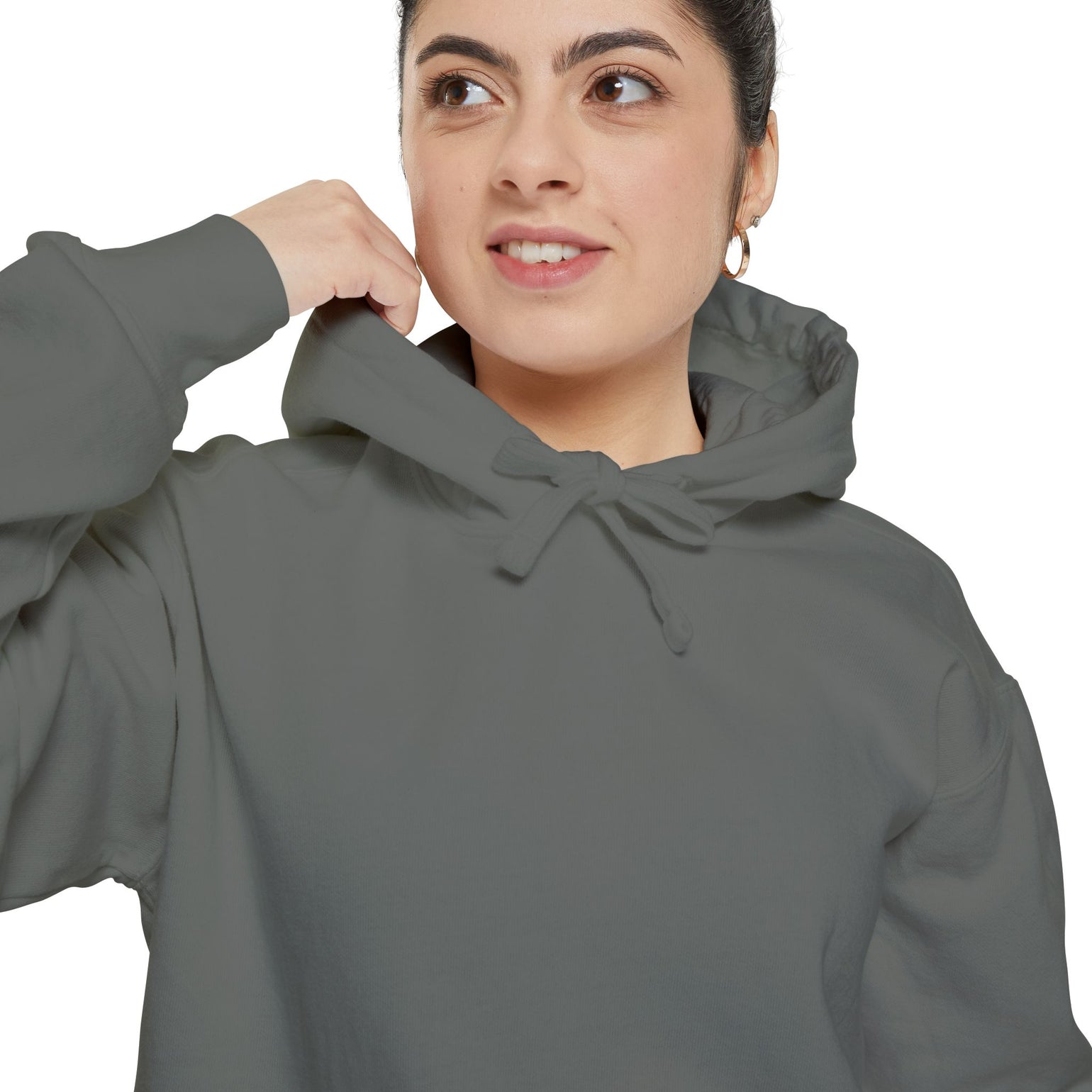 Know Your Ferries Block Island ferry fleet chart hoodie, additional view - BlockBoundRI