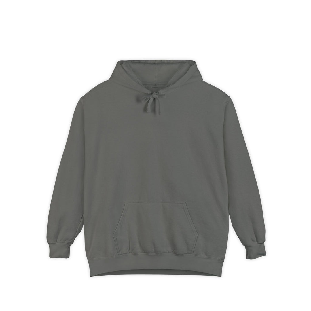 Know Your Ferries Block Island ferry fleet chart hoodie in Grey - BlockBoundRI