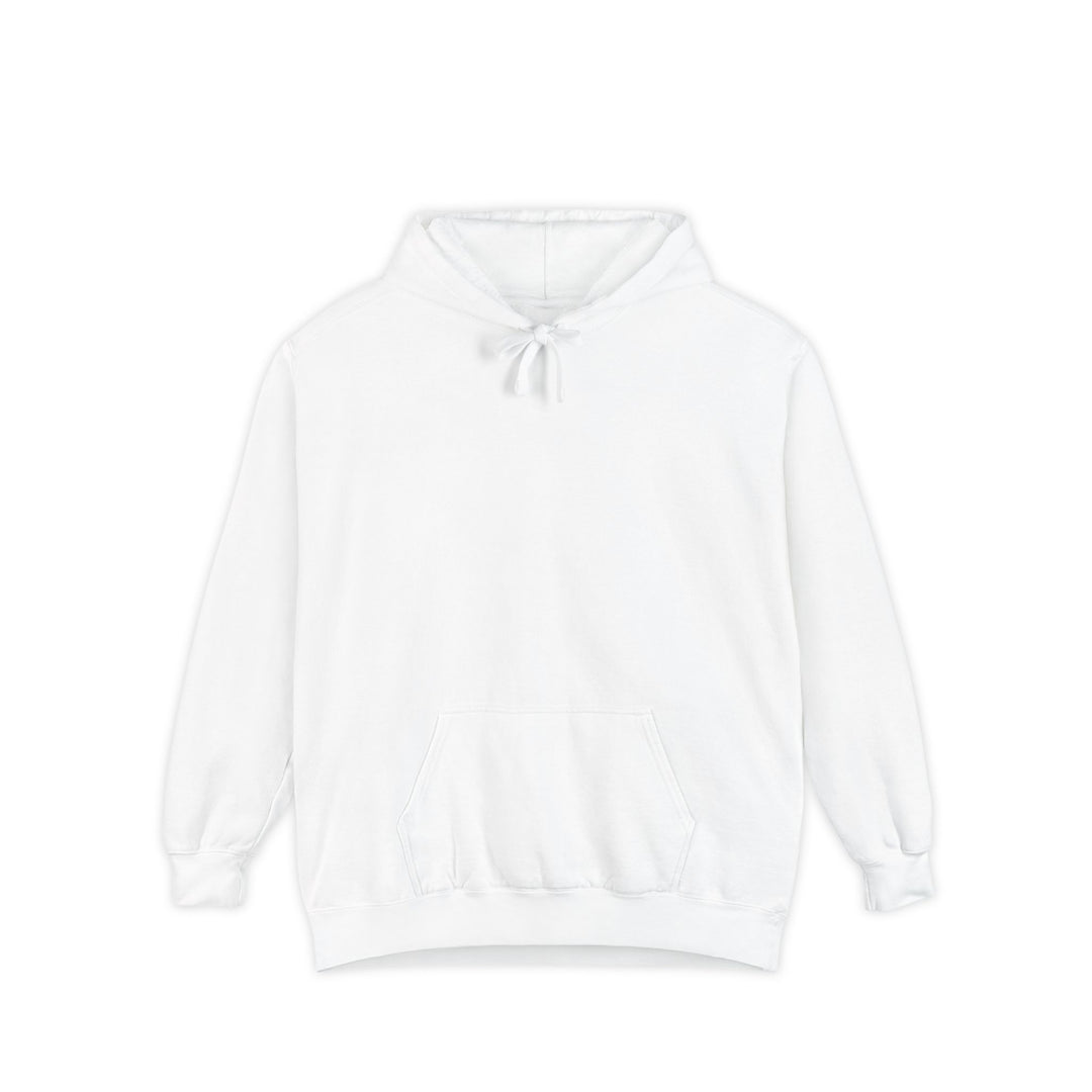Know Your Ferries Block Island ferry fleet chart hoodie in White - BlockBoundRI