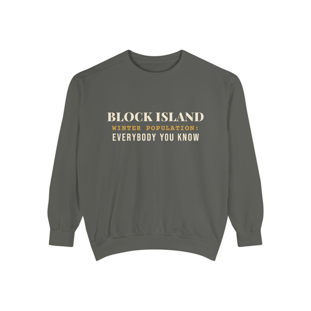Block Island Winter Population crewneck sweatshirt in Pepper - BlockBoundRI
