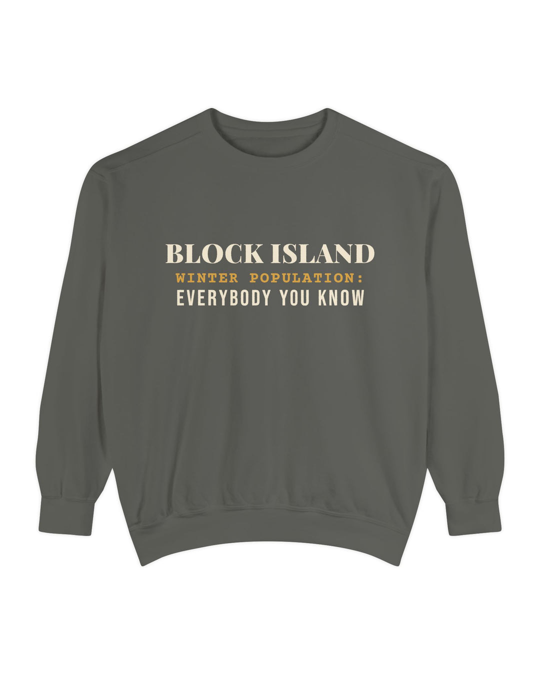 Block Island Winter Population crewneck sweatshirt in Pepper - BlockBoundRI