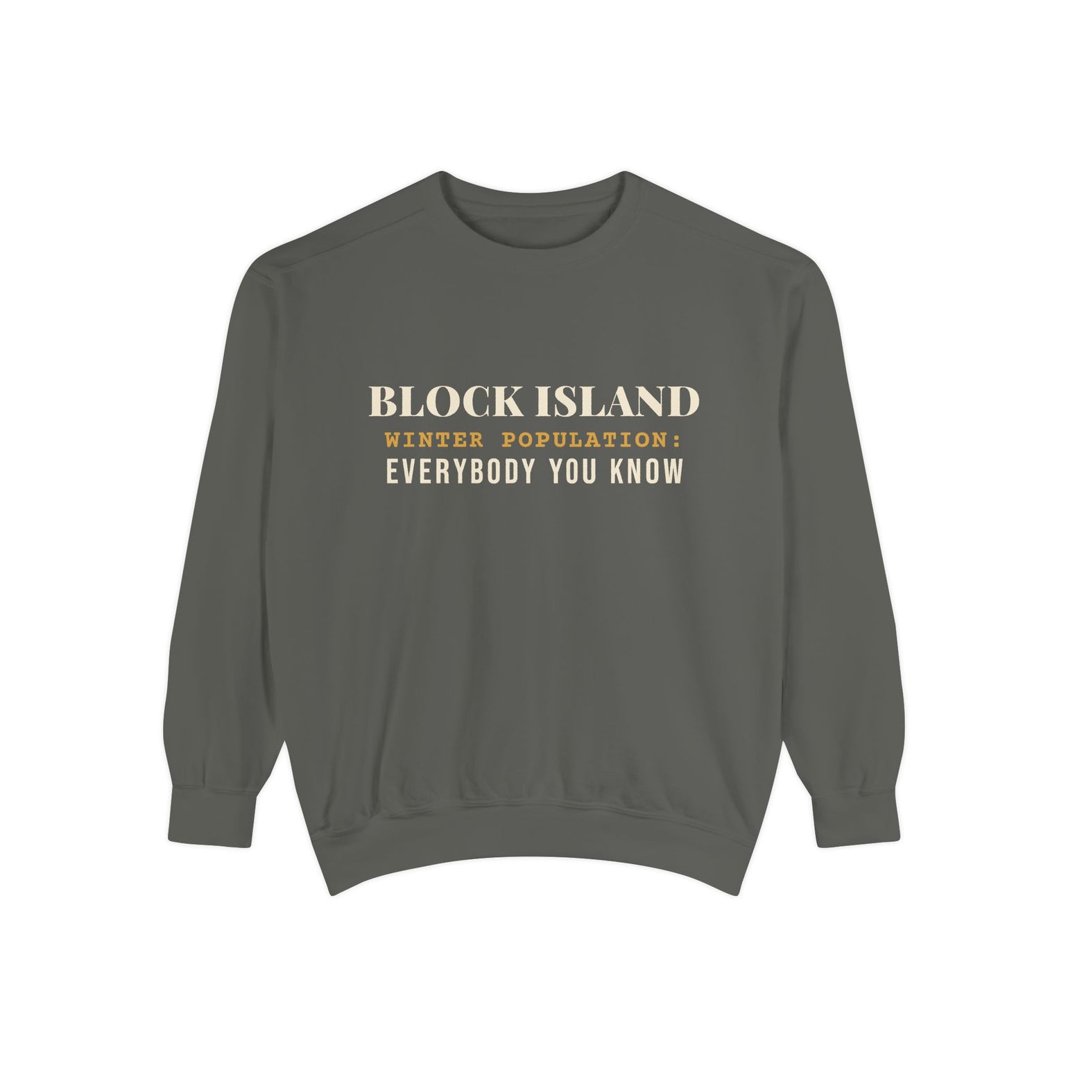 Block Island Winter Population crewneck sweatshirt in Pepper - BlockBoundRI