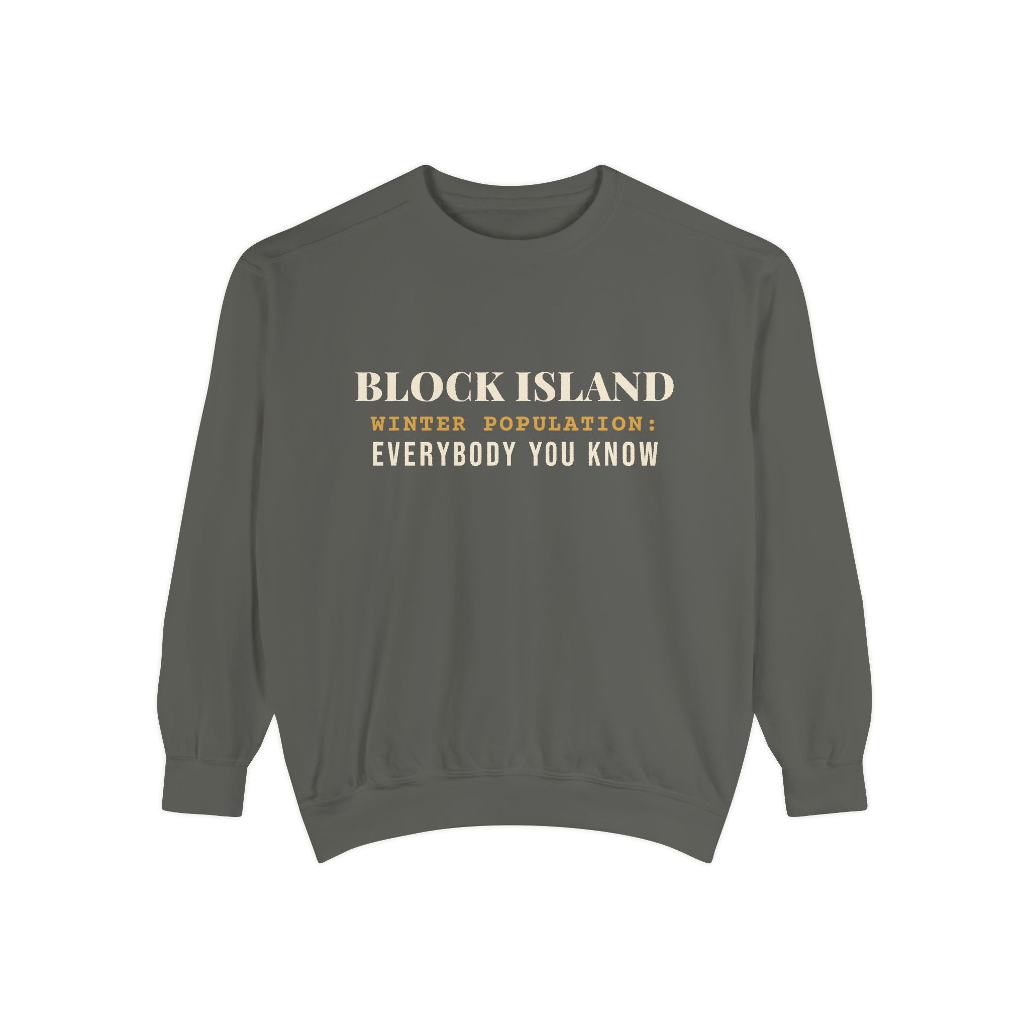 Block Island Winter Population crewneck sweatshirt in Pepper - BlockBoundRI