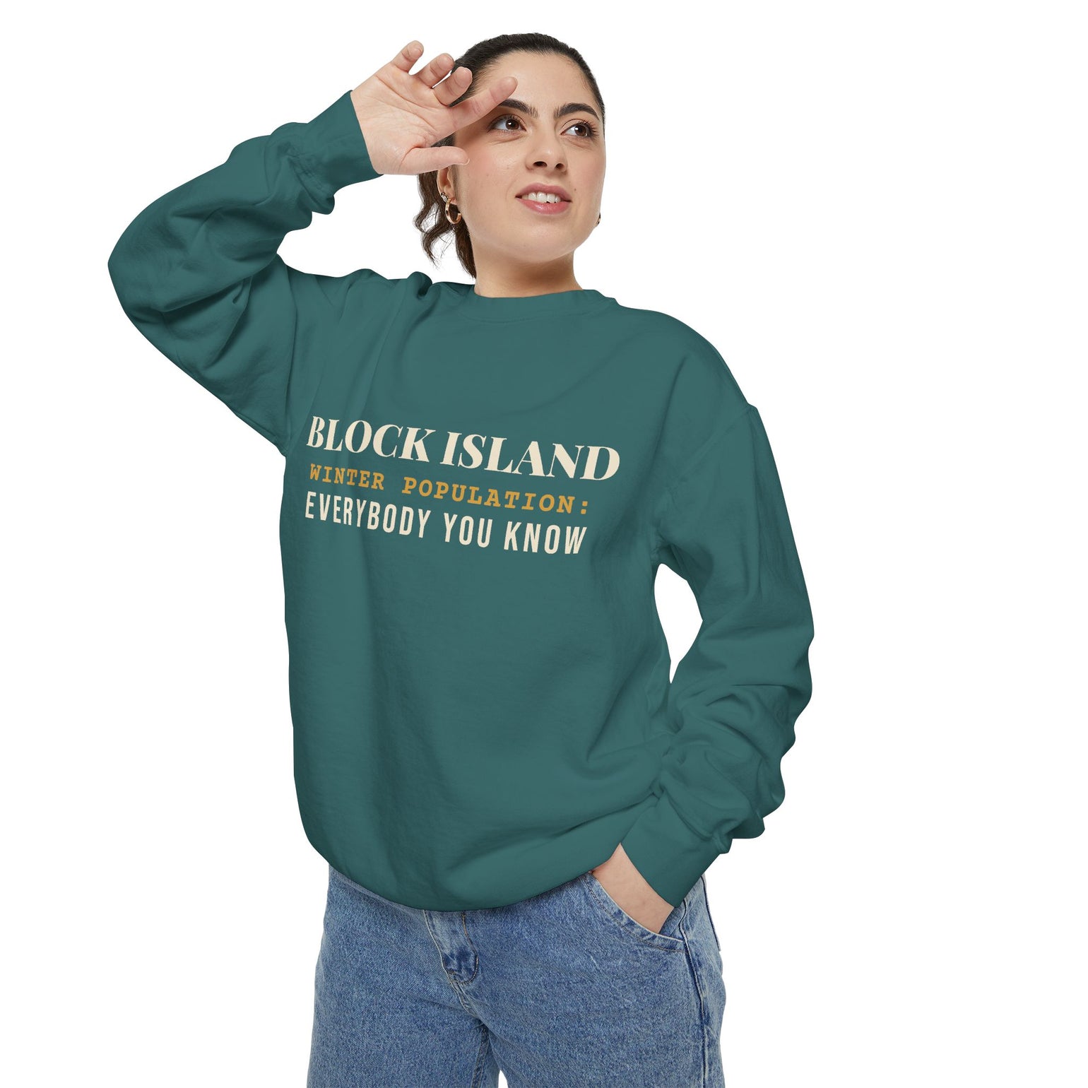 Block Island Winter Population crewneck sweatshirt, view 14 - BlockBoundRI