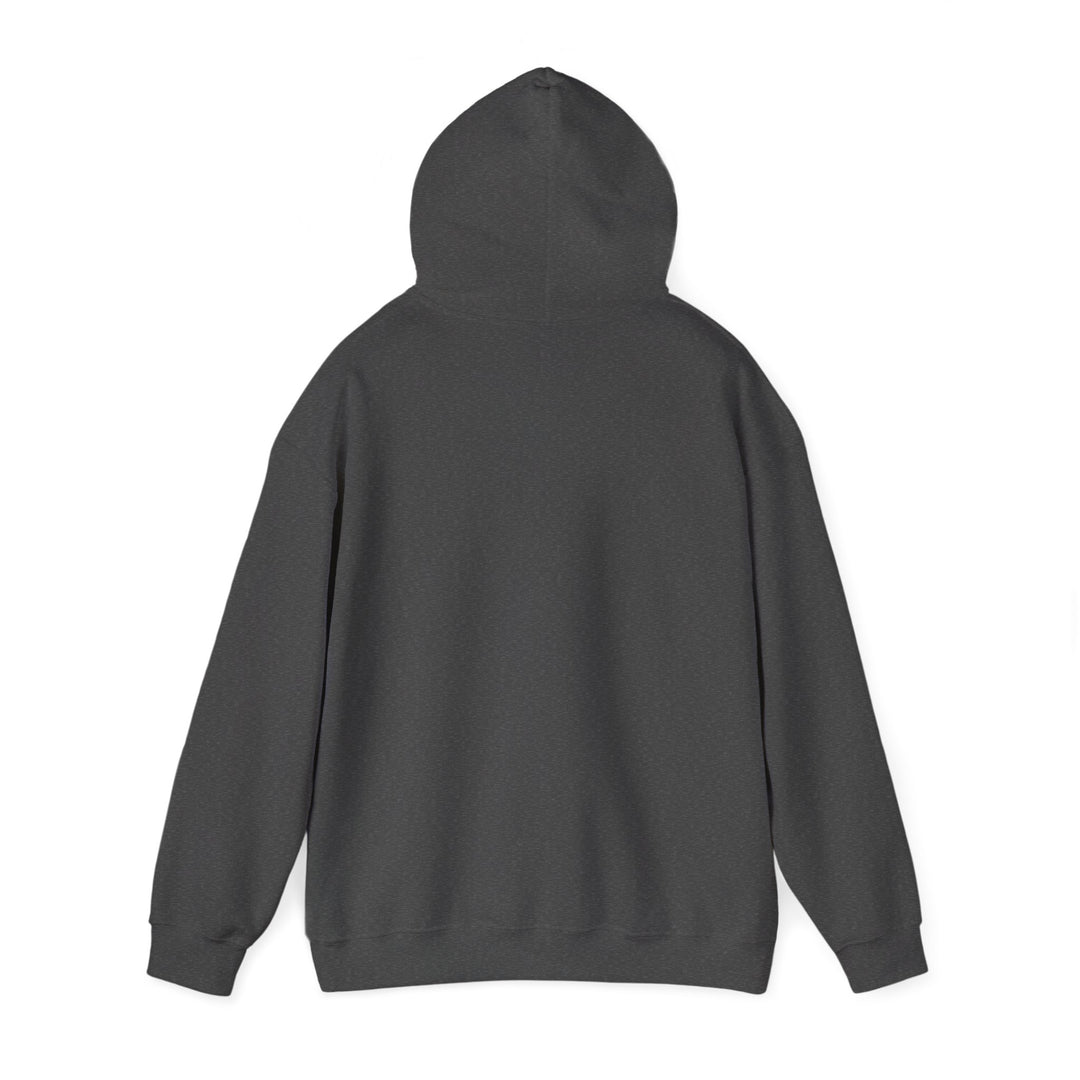 Mopeds Are Not a Personality Block Island hoodie, view 2 - BlockBoundRI