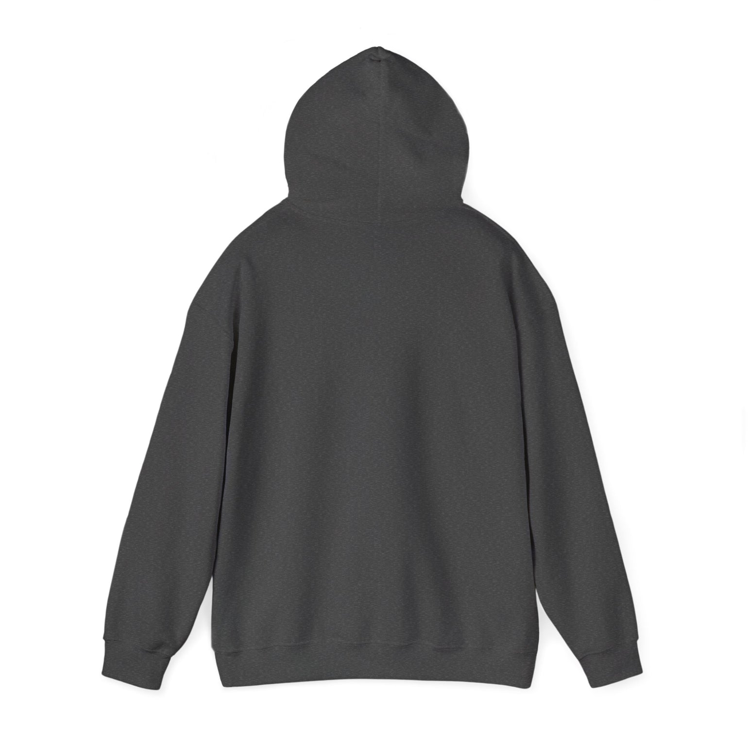 Mopeds Are Not a Personality Block Island hoodie, view 2 - BlockBoundRI