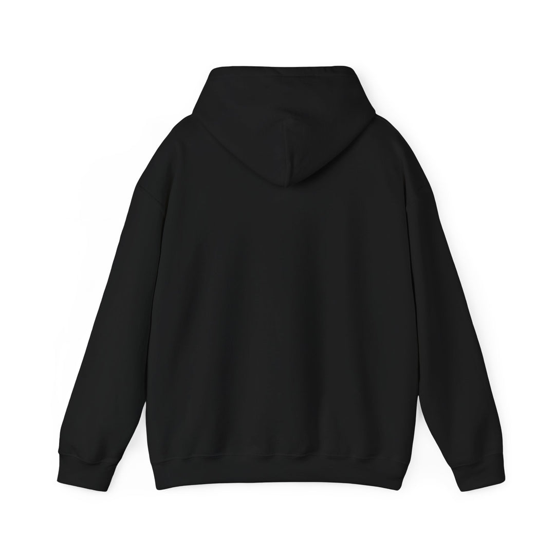 Mopeds Are Not a Personality Block Island hoodie, view 4 - BlockBoundRI