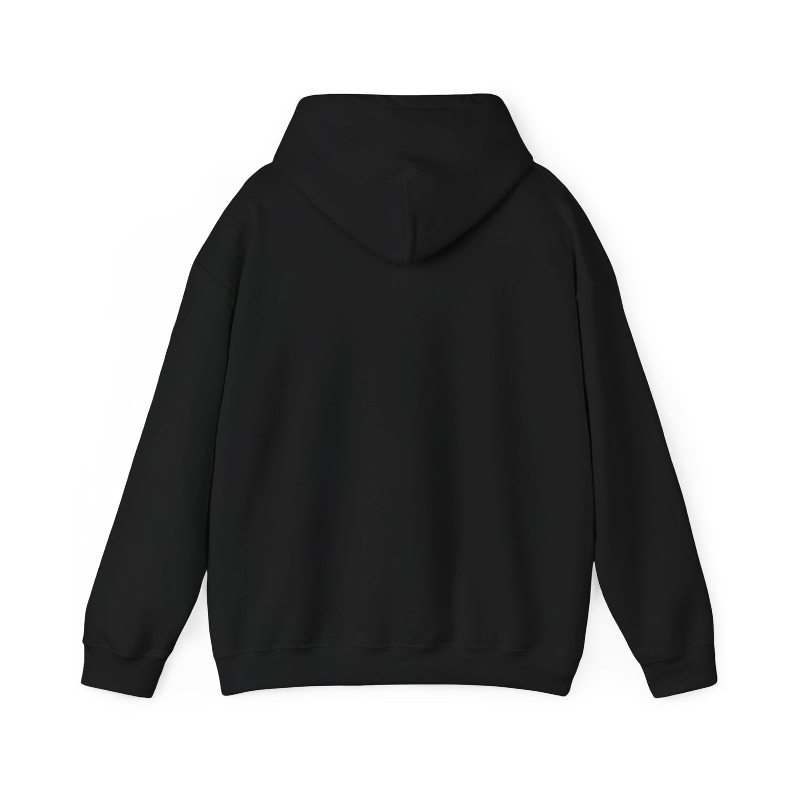 Mopeds Are Not a Personality Block Island hoodie, view 4 - BlockBoundRI