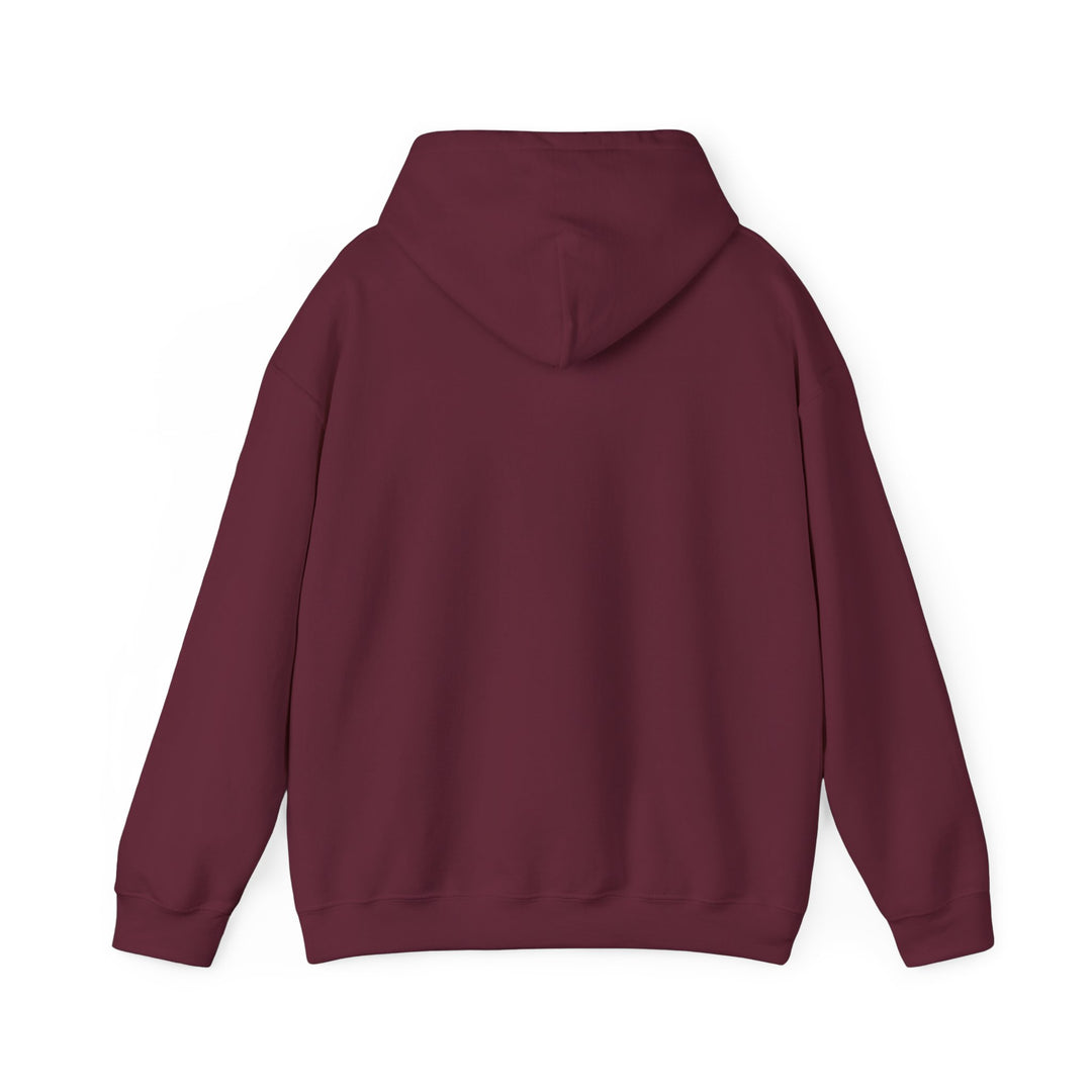 Mopeds Are Not a Personality Block Island hoodie, view 7 - BlockBoundRI
