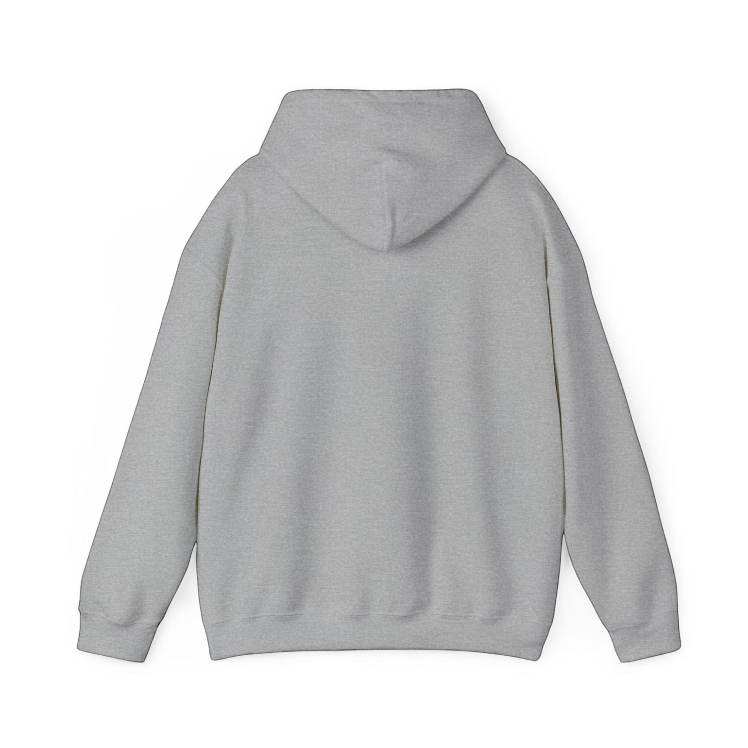 Back view of a grey BlockBoundRI hooded sweatshirt made from a soft cotton-poly blend with a double-lined hood.