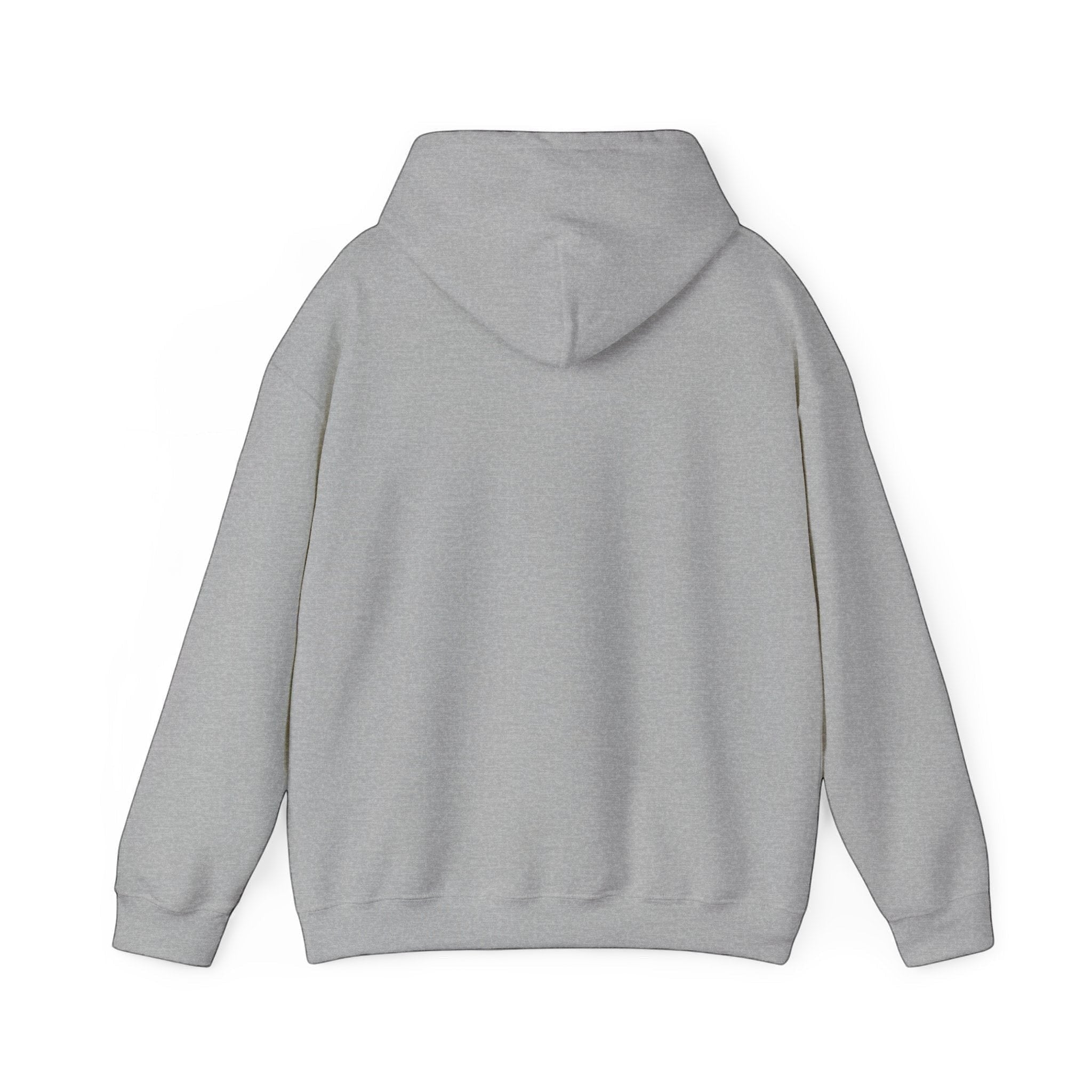 Back view of a grey BlockBoundRI hooded sweatshirt made from a soft cotton-poly blend with a double-lined hood.
