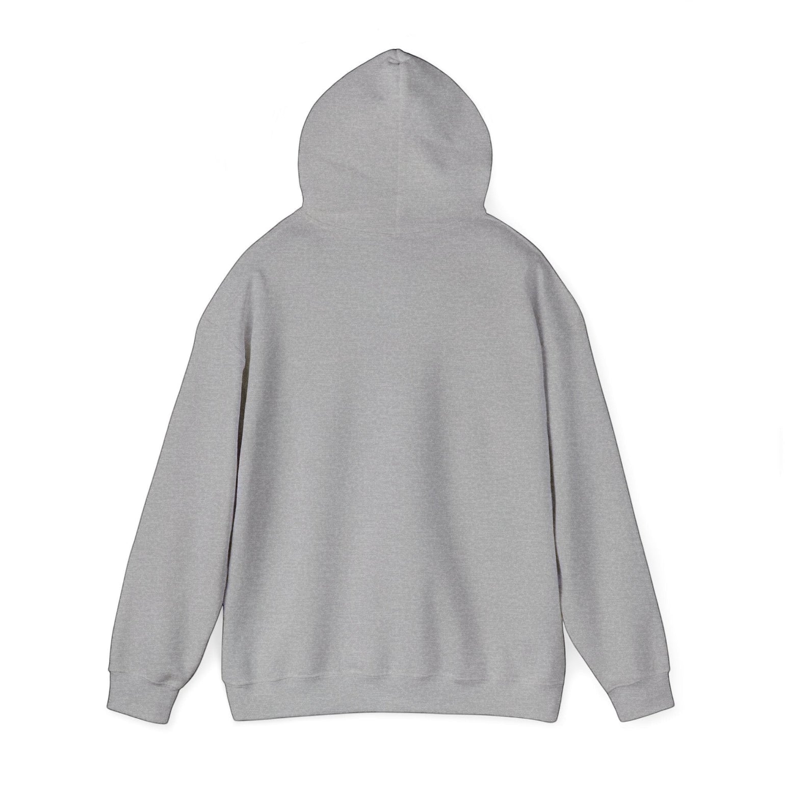 Back view of a grey BlockBoundRI hooded sweatshirt made from a soft cotton-poly blend with a double-lined hood.