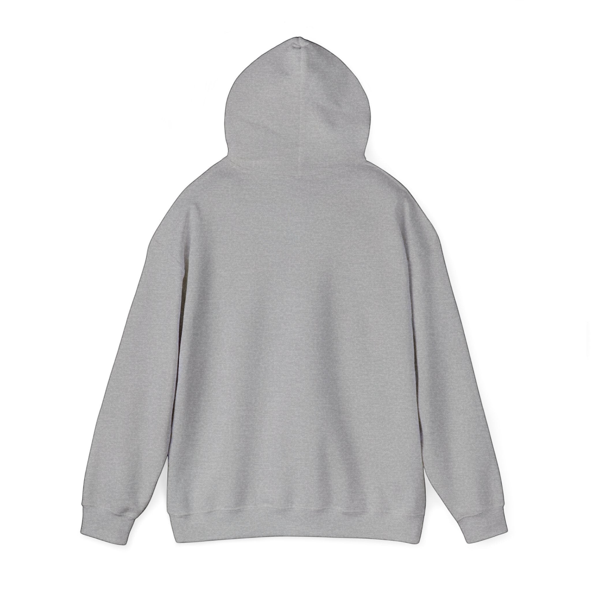 Back view of a grey BlockBoundRI hooded sweatshirt made from a soft cotton-poly blend with a double-lined hood.