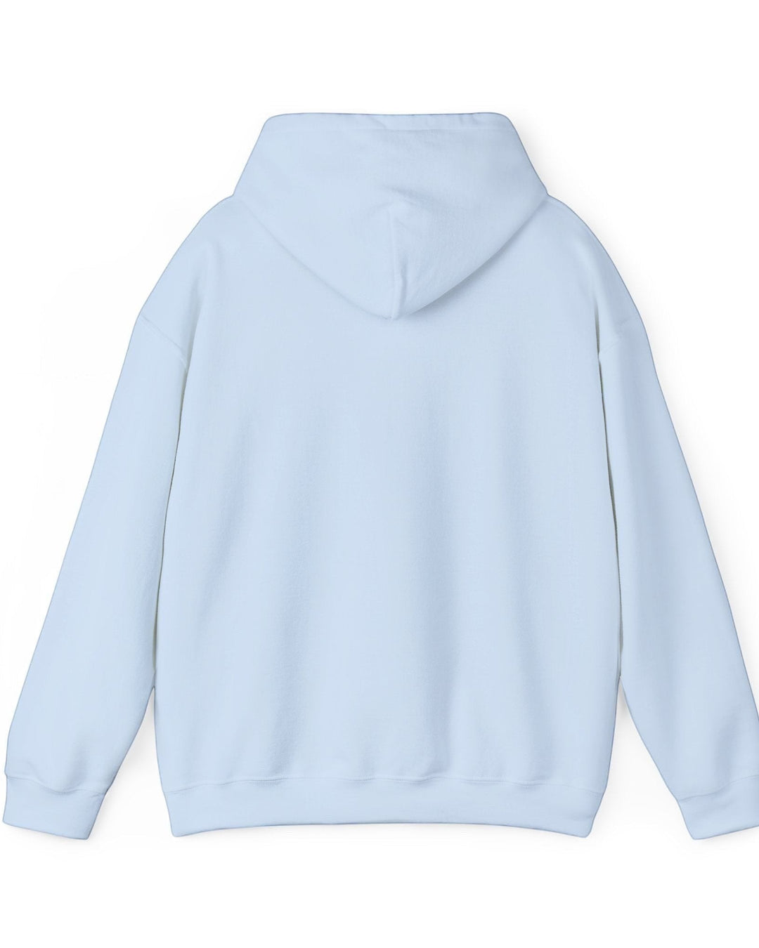 Back view of a light blue BlockBoundRI hooded sweatshirt with a double-lined hood and long sleeves.