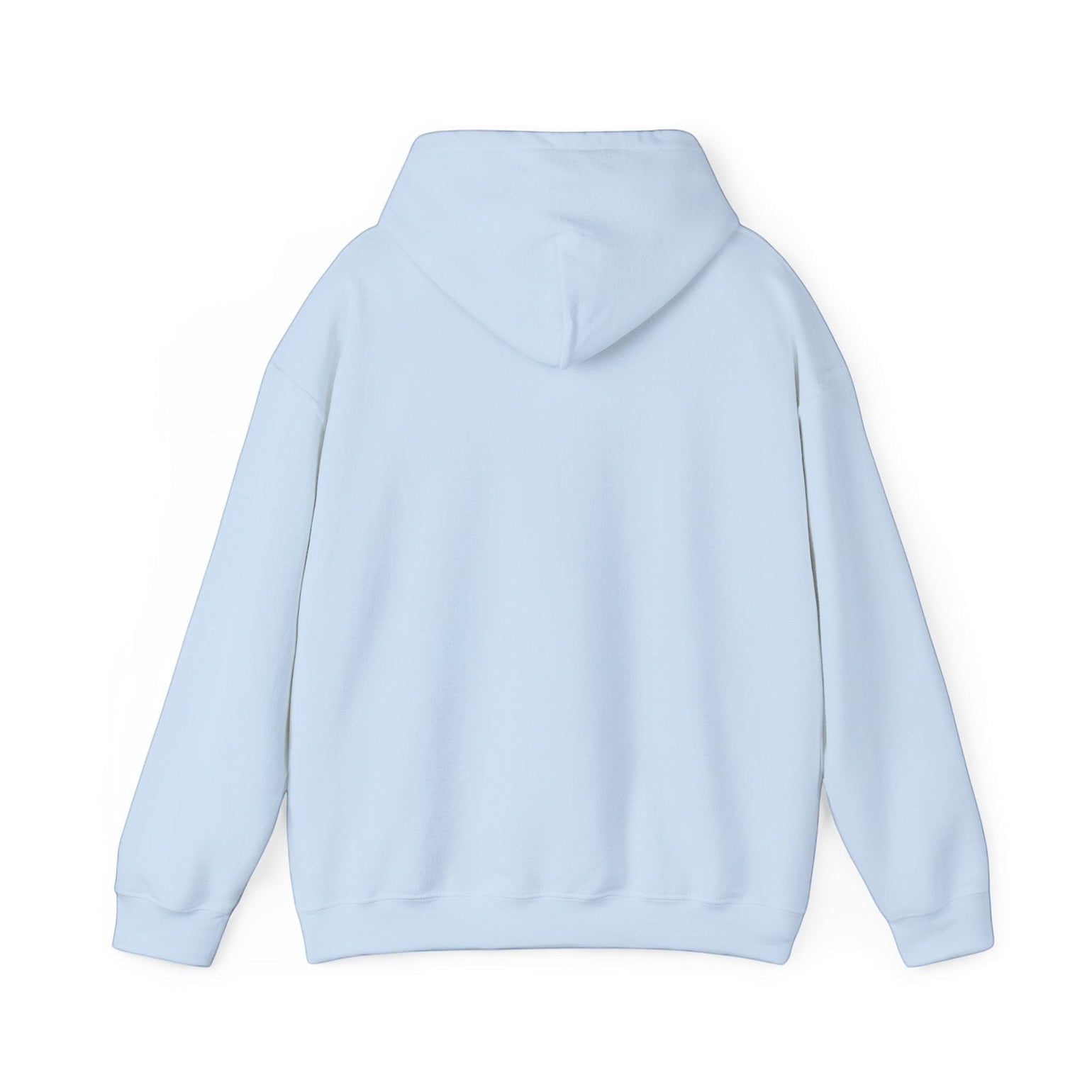 Back view of a light blue BlockBoundRI hooded sweatshirt with a double-lined hood and long sleeves.