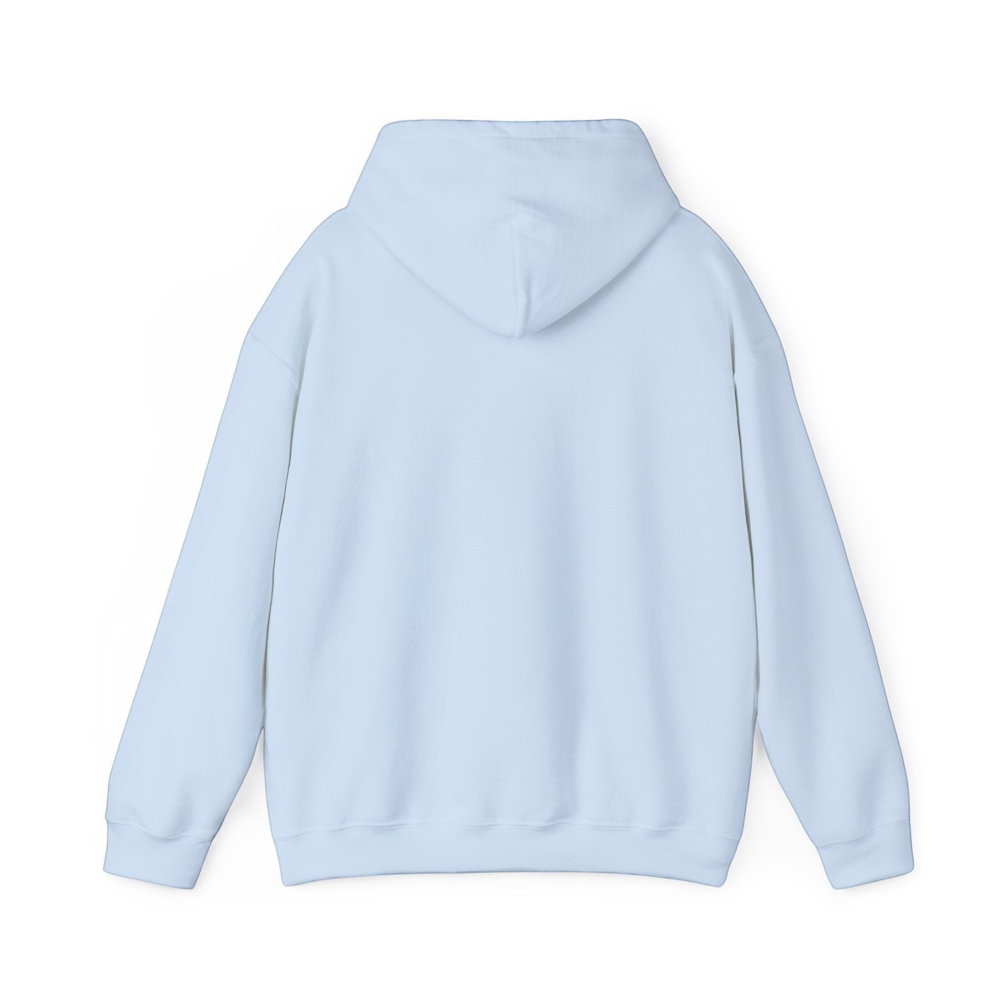 Back view of a light blue BlockBoundRI hooded sweatshirt with a double-lined hood and long sleeves.