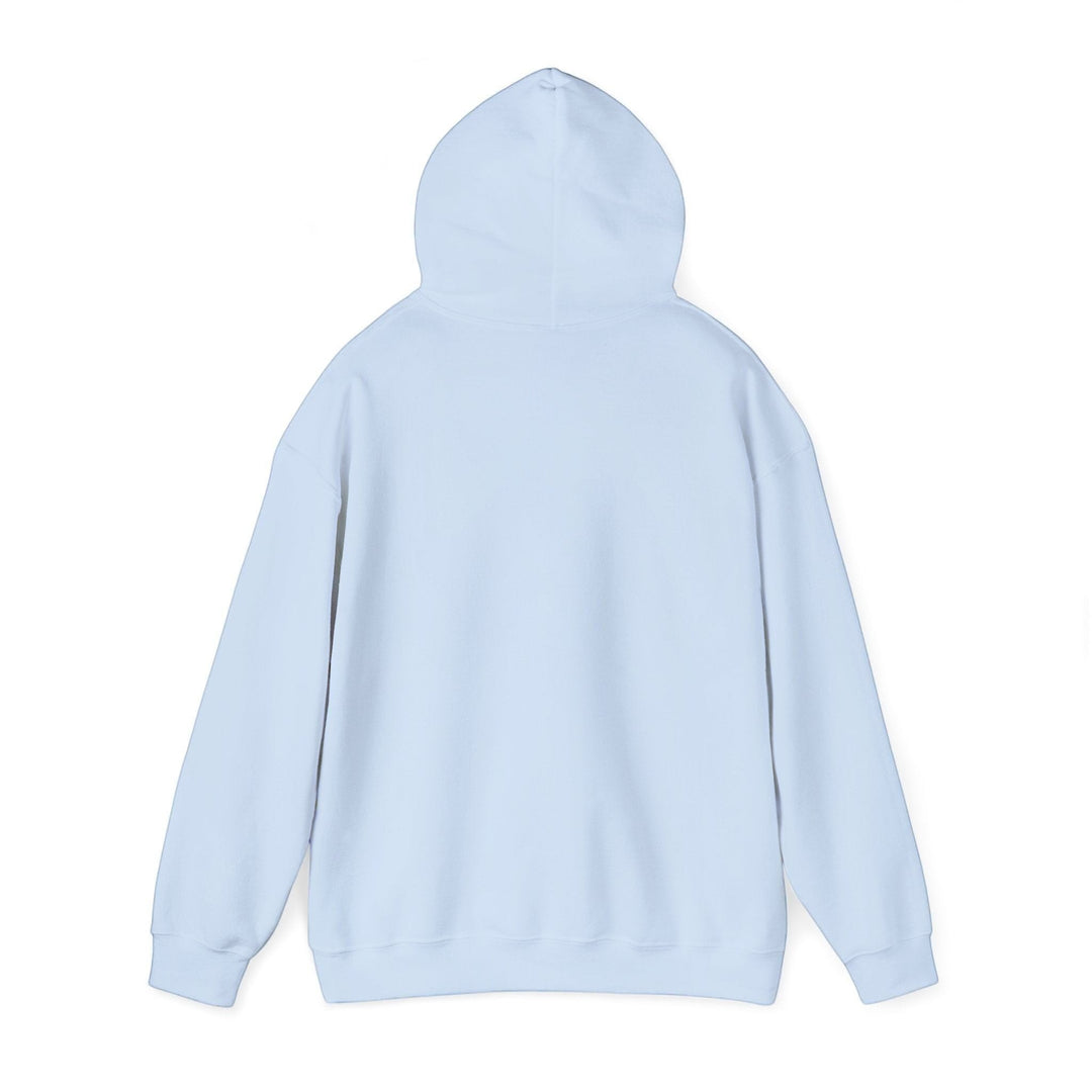 Back view of a plain light blue BlockBoundRI hooded sweatshirt with a double-lined hood and long sleeves.