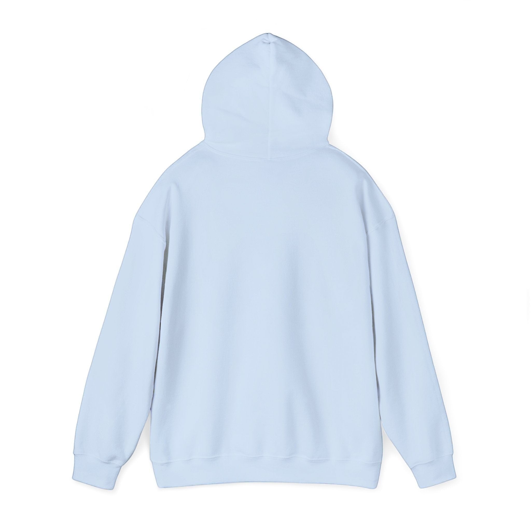 Back view of a plain light blue BlockBoundRI hooded sweatshirt with a double-lined hood and long sleeves.