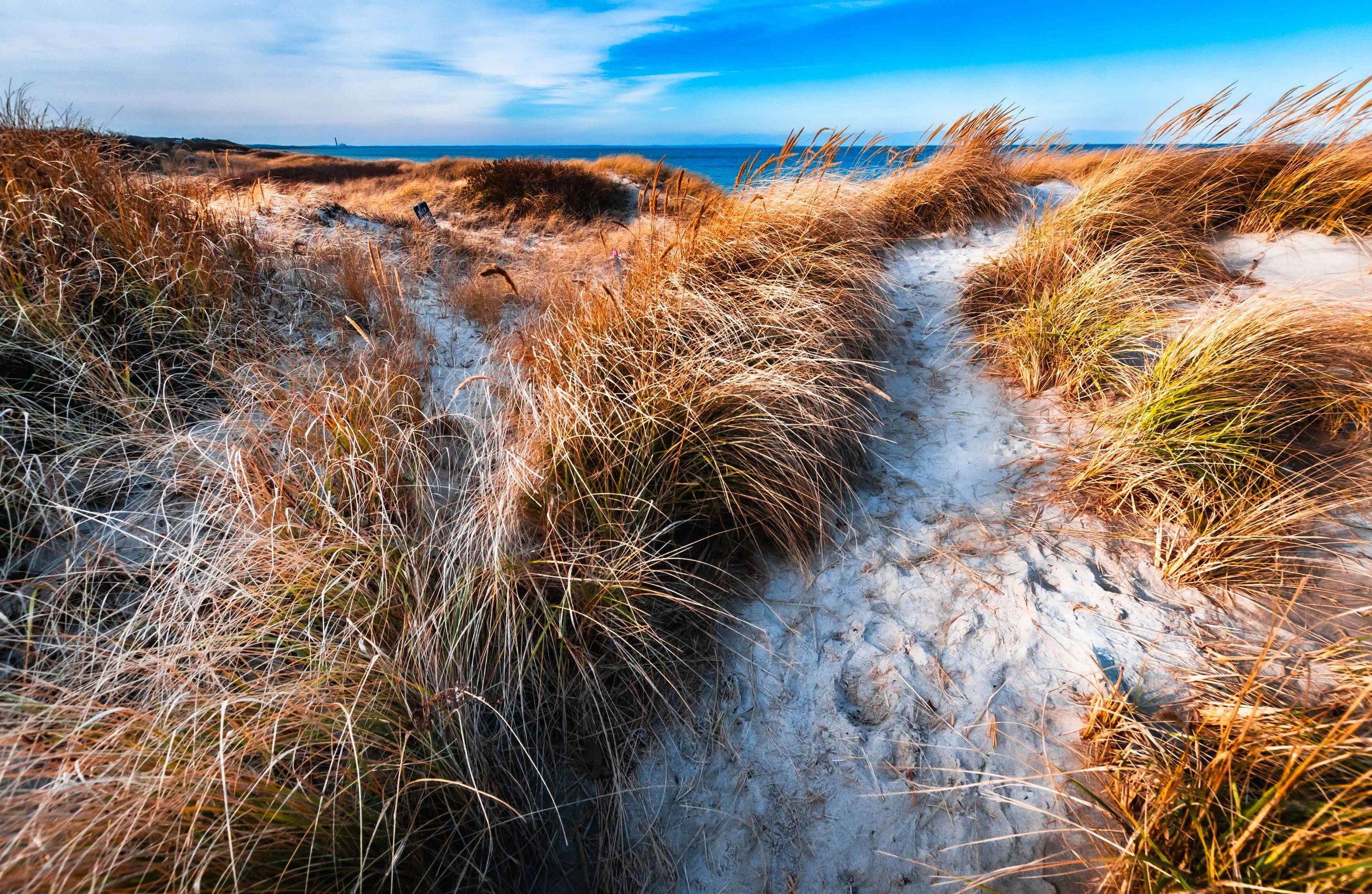 Sandy coastal path through beach grass